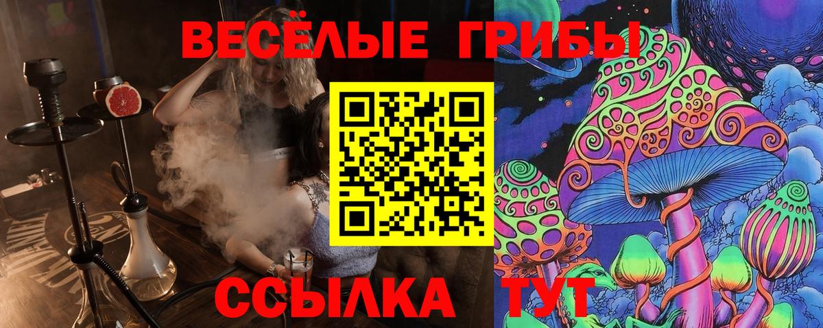 Скопин  Псилоцибиновые грибы Psilocybine cubensis  купить  сайты  Вход с VPN 